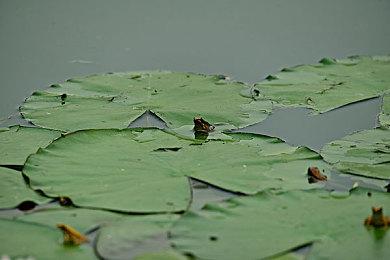 Steam警告客户：你们购买的游戏只是游玩许可证